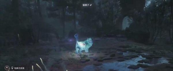 《霍格沃兹:遗产》的19个游戏技巧攻略