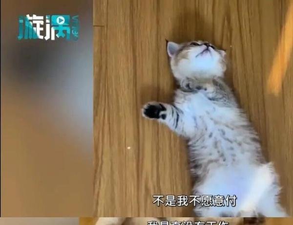 长沙女子配乐“国窖1573”，被索赔7万元，网友：格局小了