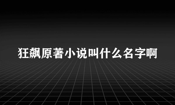 狂飙原著小说叫什么名字啊