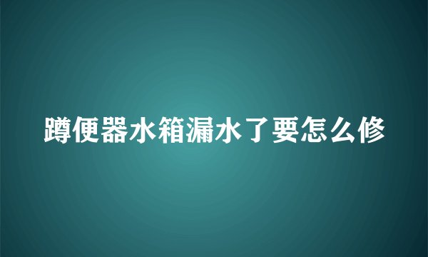蹲便器水箱漏水了要怎么修