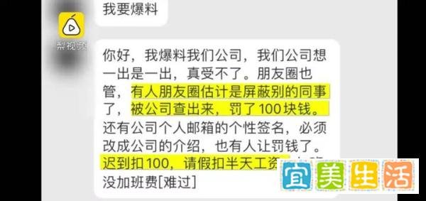 员工曝光公司奇葩规定：朋友圈屏蔽同事罚100元！！【饮茶论道】