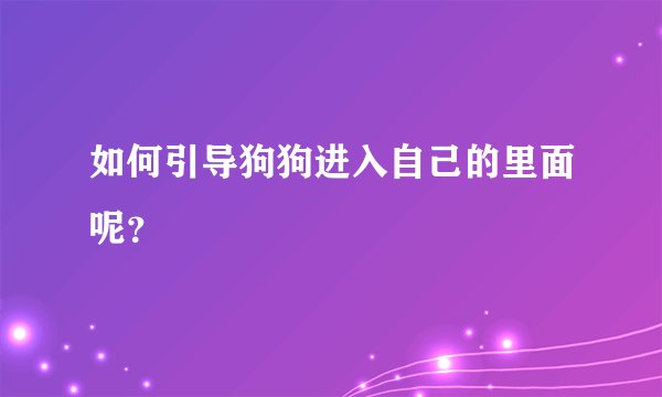 如何引导狗狗进入自己的里面呢？