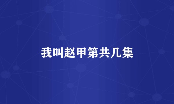 我叫赵甲第共几集