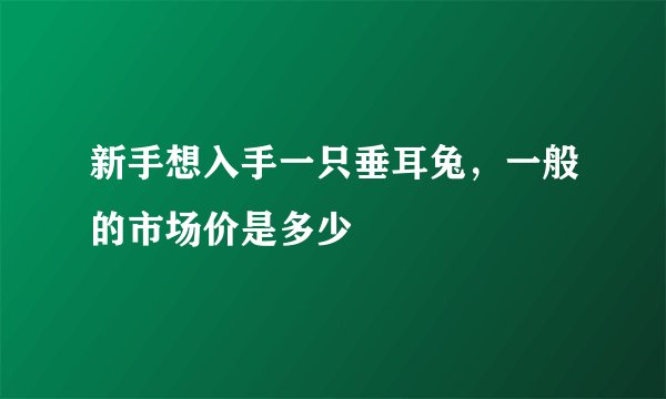 新手想入手一只垂耳兔，一般的市场价是多少