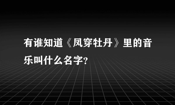 有谁知道《凤穿牡丹》里的音乐叫什么名字？