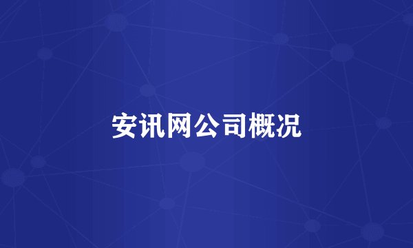 安讯网公司概况
