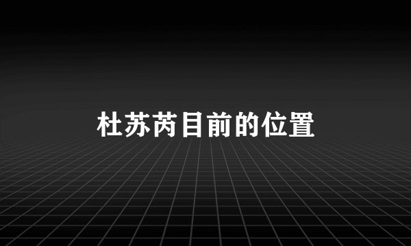 杜苏芮目前的位置