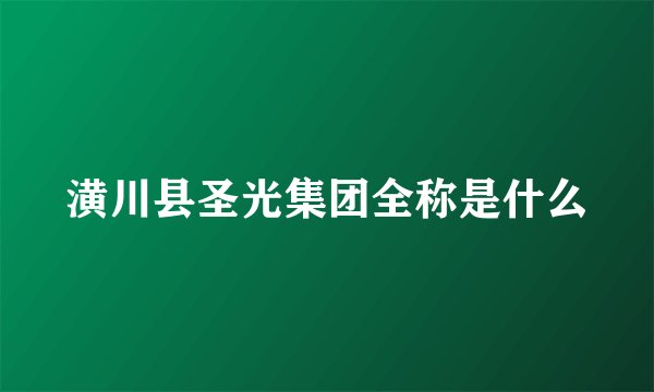 潢川县圣光集团全称是什么