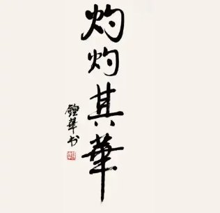 灼灼其华电视剧剧情介绍