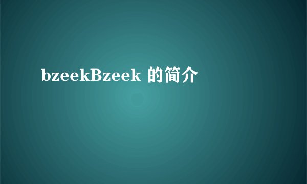 bzeekBzeek 的简介