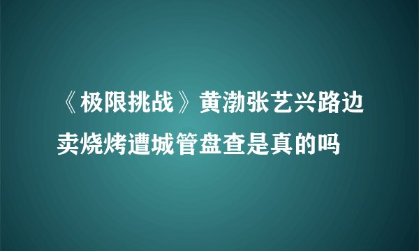 《极限挑战》黄渤张艺兴路边卖烧烤遭城管盘查是真的吗