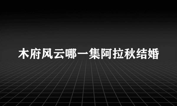 木府风云哪一集阿拉秋结婚