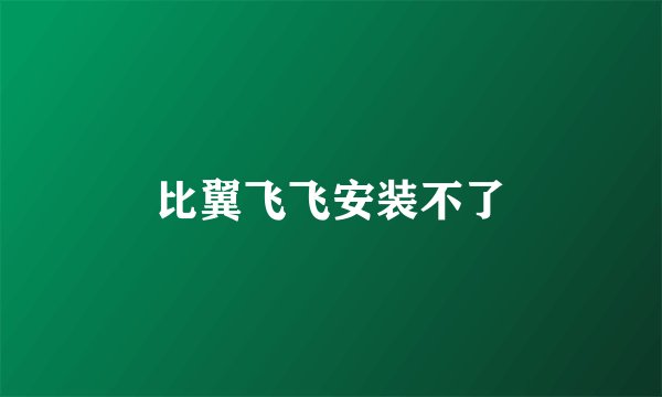比翼飞飞安装不了