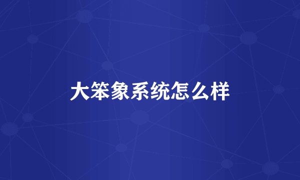 大笨象系统怎么样
