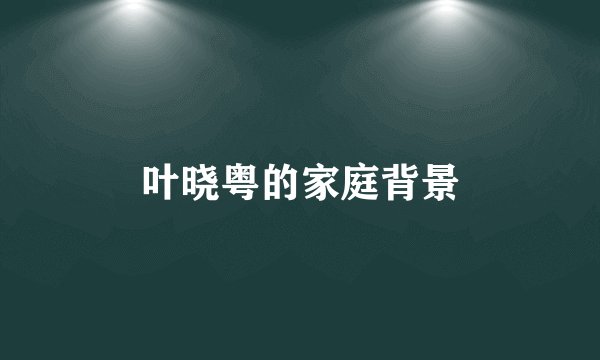 叶晓粤的家庭背景