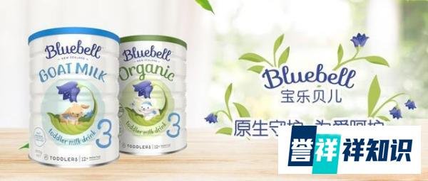 荣获最具潜力奖项 Bluebell宝乐贝儿的成长性源于何处?