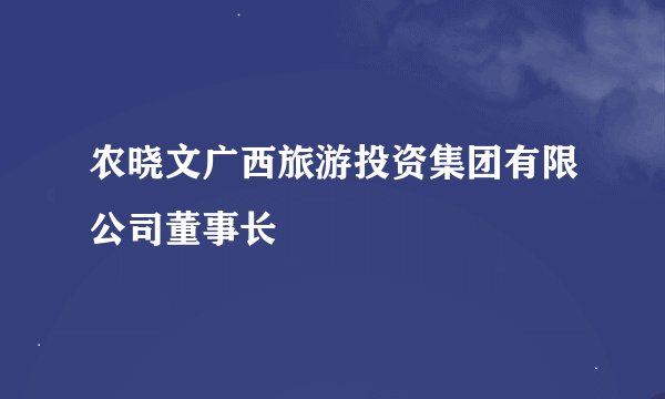 农晓文广西旅游投资集团有限公司董事长