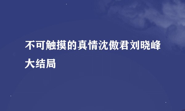 不可触摸的真情沈傲君刘晓峰大结局