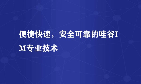 便捷快速，安全可靠的哇谷IM专业技术