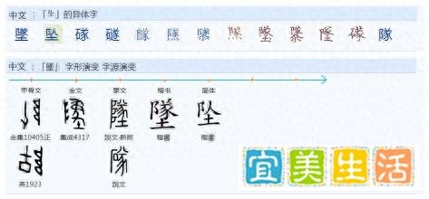 734“坠”和“堕”为什么演化成了不同的音？