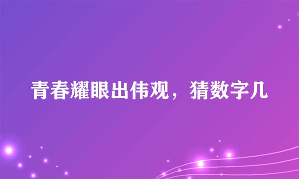 青春耀眼出伟观，猜数字几