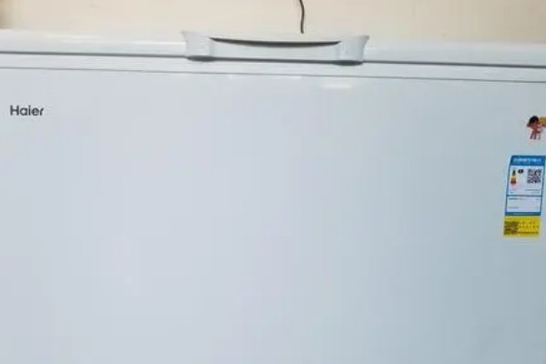 冰柜品牌质量排行榜前十名