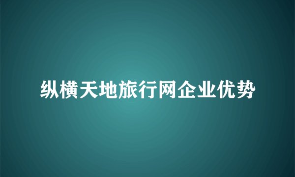 纵横天地旅行网企业优势
