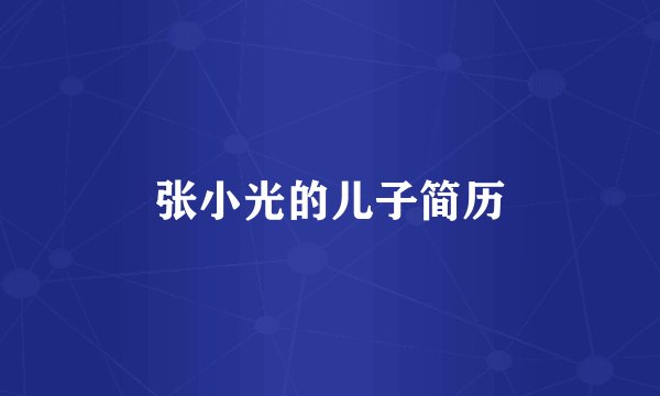 张小光的儿子简历