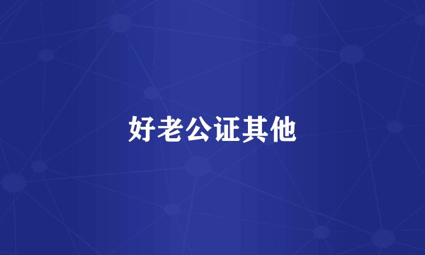 好老公证其他