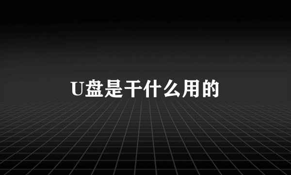 U盘是干什么用的