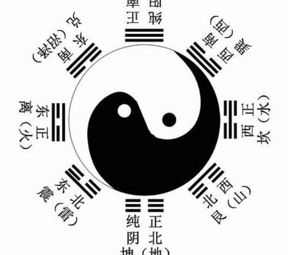 被迫玄学出道后我红了讲的是什么