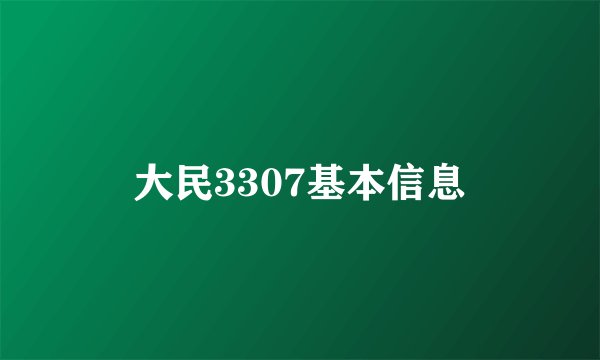 大民3307基本信息