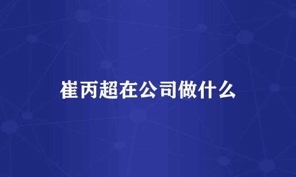 崔丙超在公司做什么