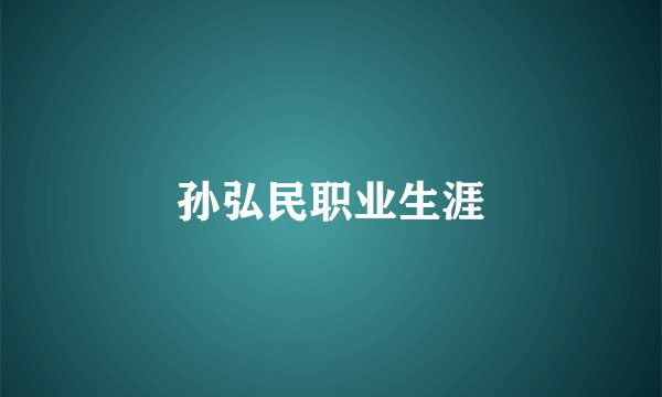 孙弘民职业生涯