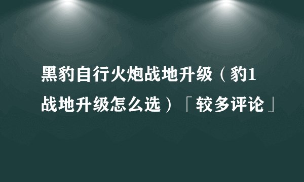 黑豹自行火炮战地升级（豹1战地升级怎么选）「较多评论」