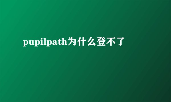 pupilpath为什么登不了