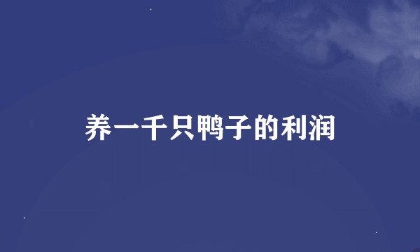 养一千只鸭子的利润