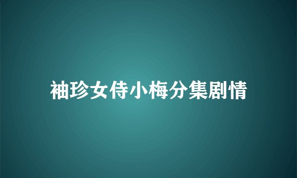 袖珍女侍小梅分集剧情