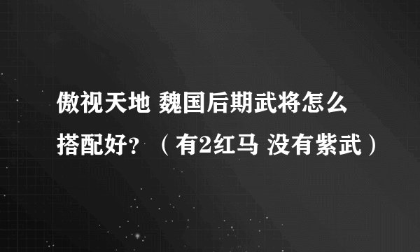 傲视天地 魏国后期武将怎么搭配好？（有2红马 没有紫武）