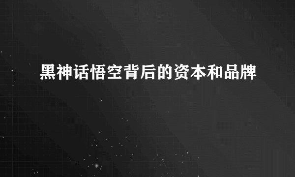 黑神话悟空背后的资本和品牌