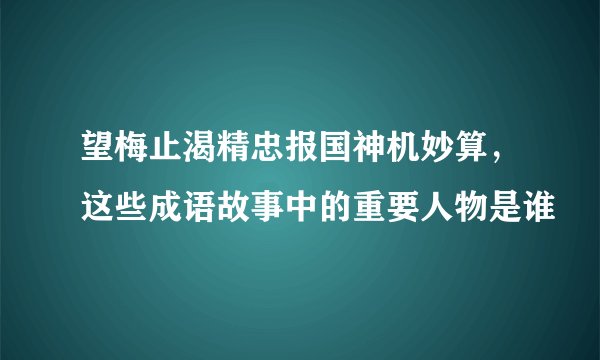 望梅止渴精忠报国神机妙算，这些成语故事中的重要人物是谁