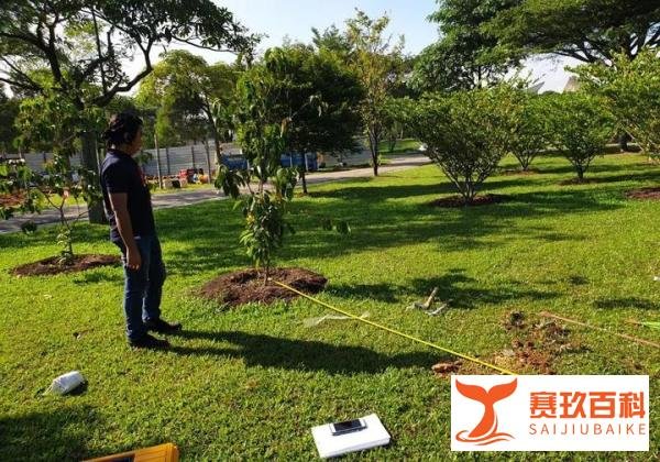 新加坡从不地震吗?NTU 地球观测与研究所为你揭秘