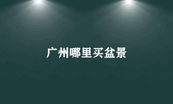 广州哪里买盆景