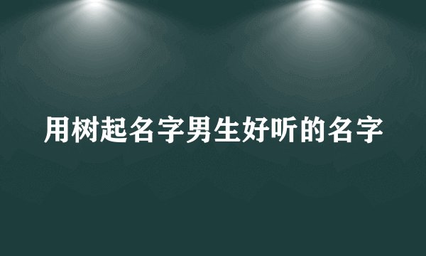 用树起名字男生好听的名字