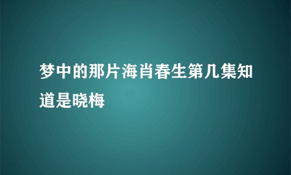梦中的那片海肖春生第几集知道是晓梅
