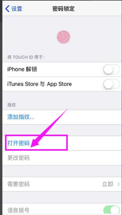 iphone5s怎么设置密码锁屏