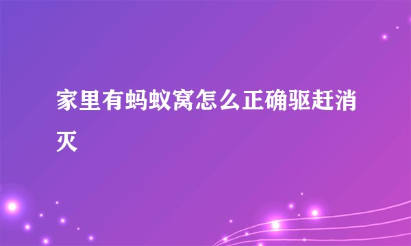 家里有蚂蚁窝怎么正确驱赶消灭