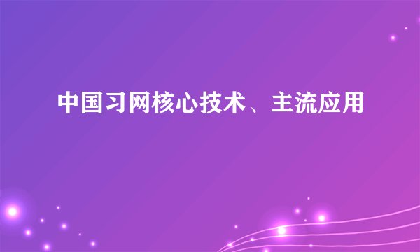 中国习网核心技术、主流应用