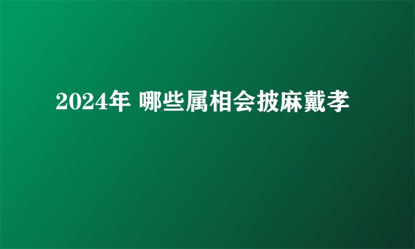 2024年 哪些属相会披麻戴孝