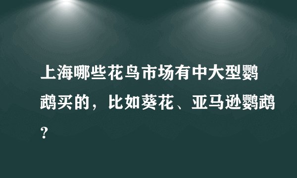 上海哪些花鸟市场有中大型鹦鹉买的，比如葵花、亚马逊鹦鹉？